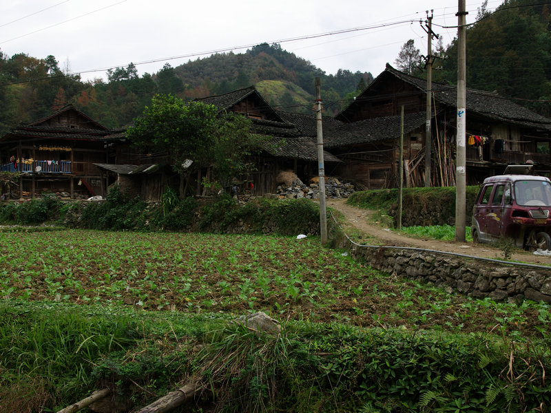 IMGP5755.jpg