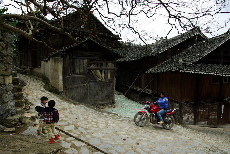 IMGP5795.jpg