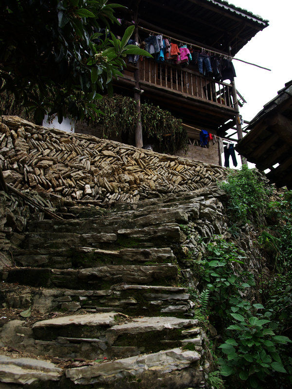 IMGP5801.jpg