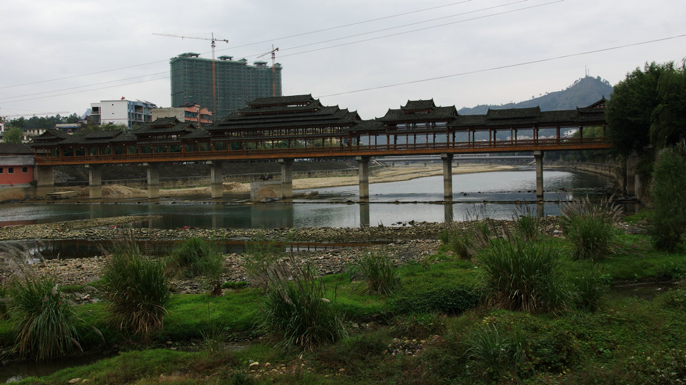 IMGP5814.jpg