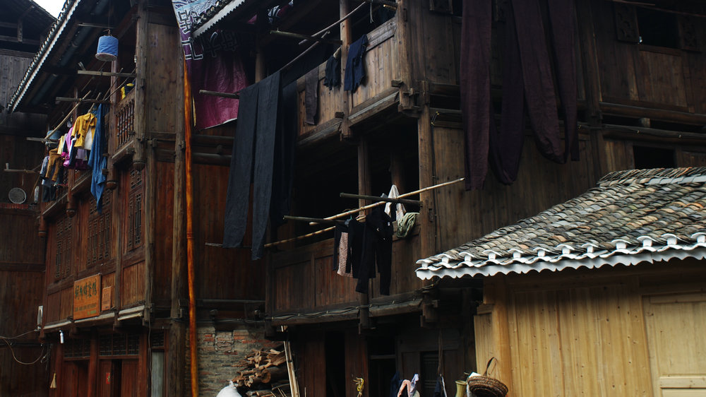 IMGP0038.jpg