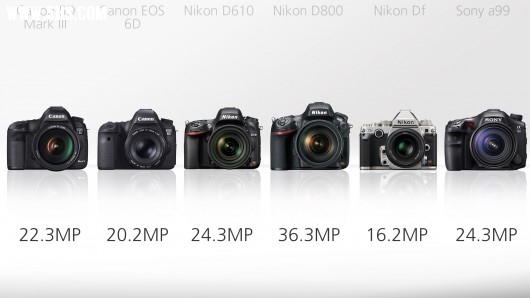 dslr-comparison-high-end-15.jpg