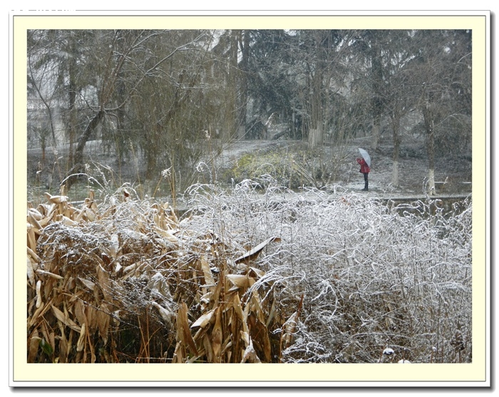 DSCN7780.jpg