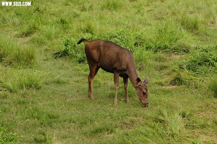 _DSC0397.jpg