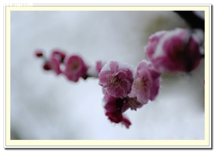 IMG_6820.jpg