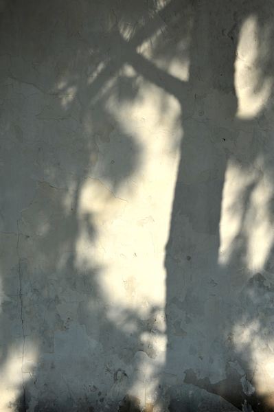 DSC_4956.jpg