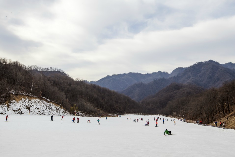 QQ图片20140101192528.jpg