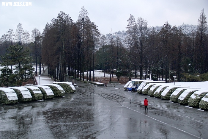 IMG_7175.jpg