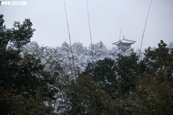 IMG_7185.jpg