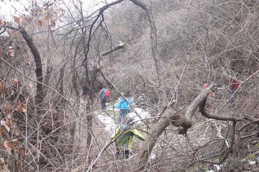 P1170560.JPG