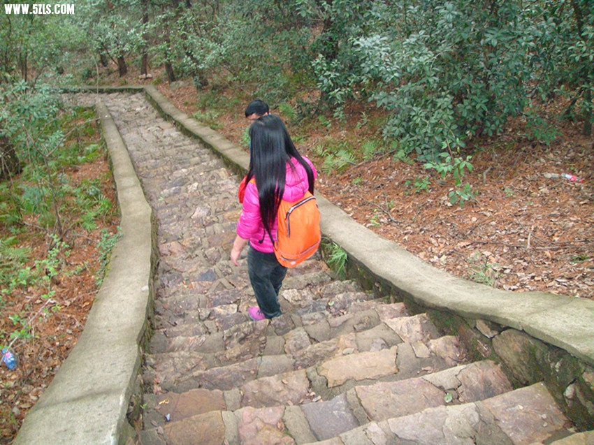 DSC03251_.jpg