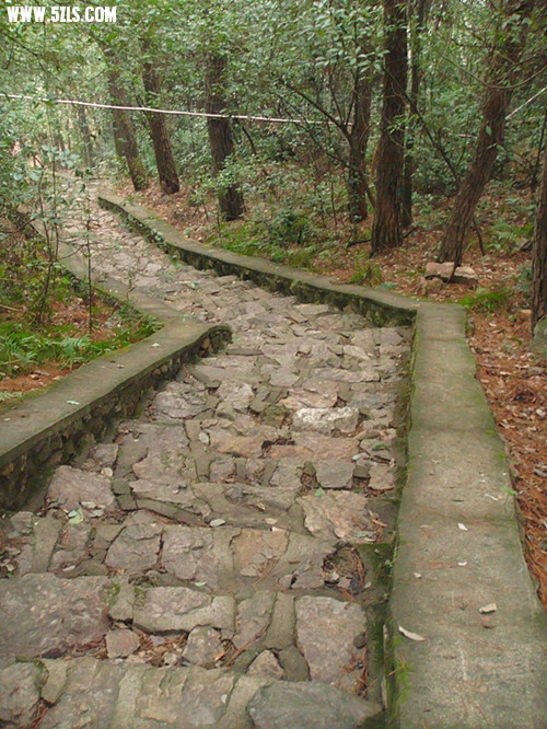 DSC03255_.jpg