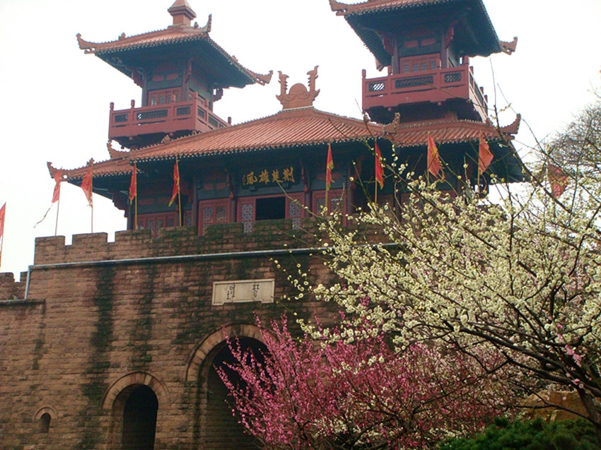DSC03260_.jpg
