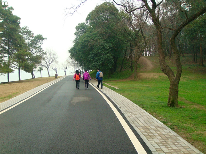 DSC03278_.jpg