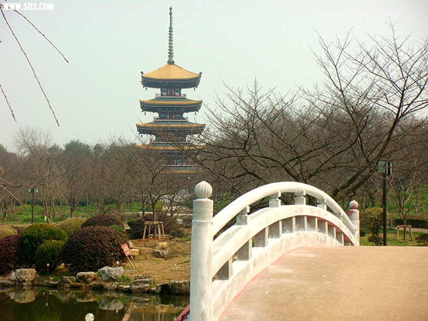 DSC03324_.jpg
