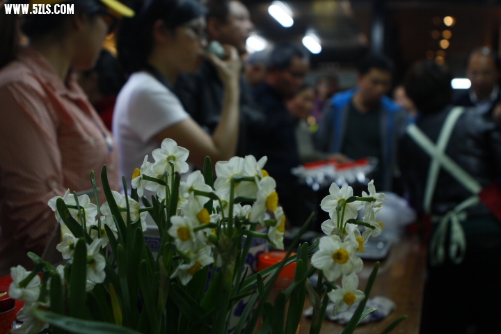 _MG_0036.JPG
