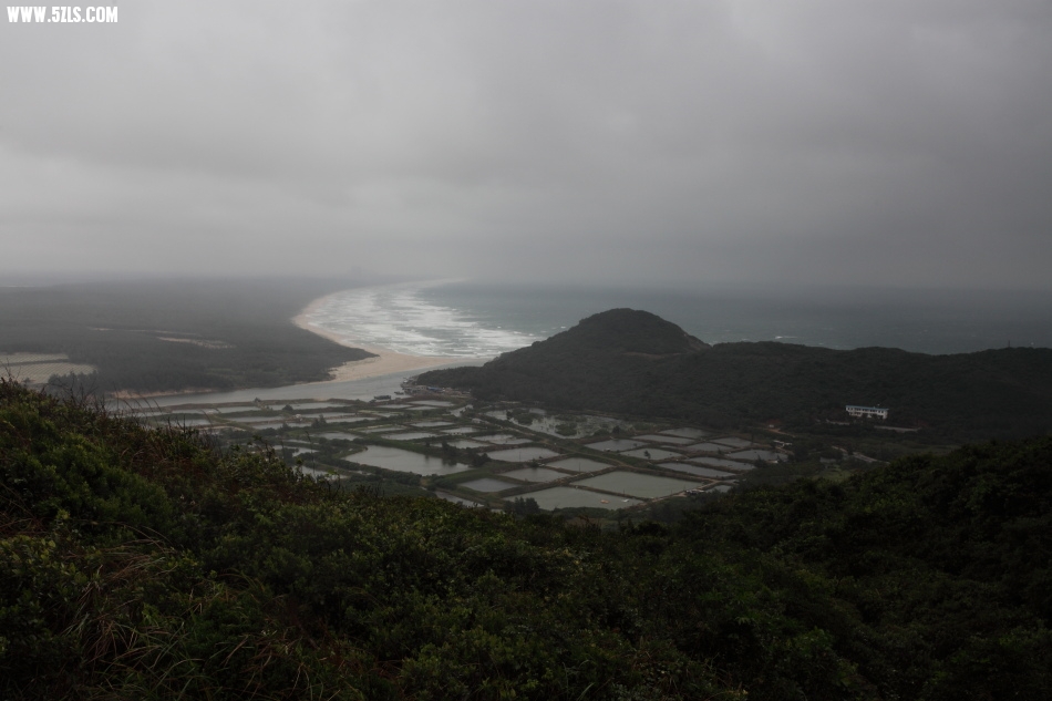 DPP_1645.JPG