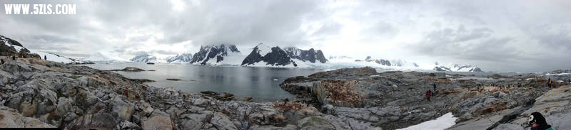 IMG_4387.jpg