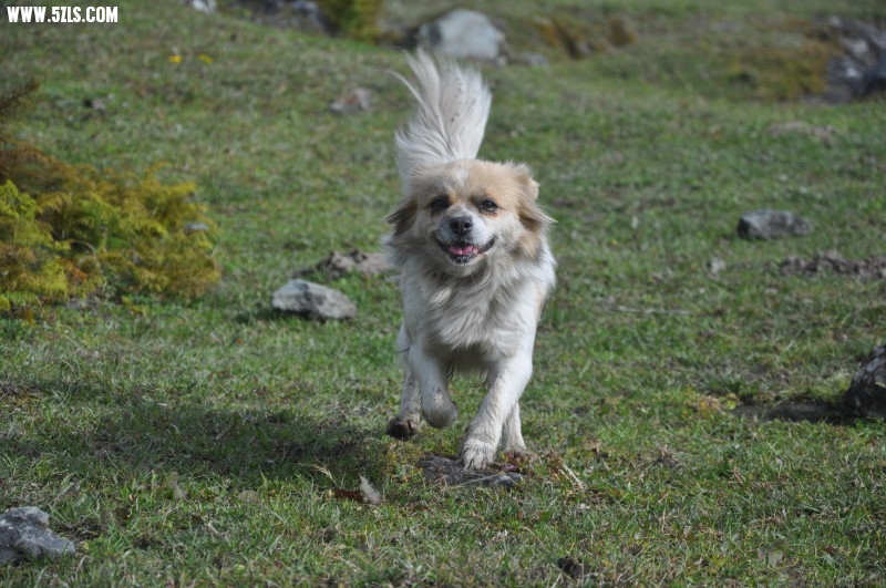 DSC_0074.jpg