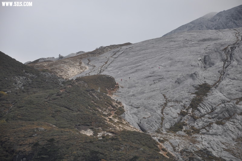 DSC_0096.jpg
