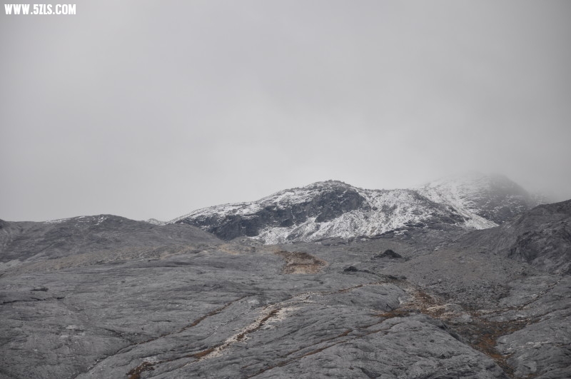 DSC_0102.jpg
