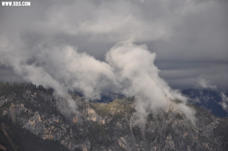DSC_0312.jpg