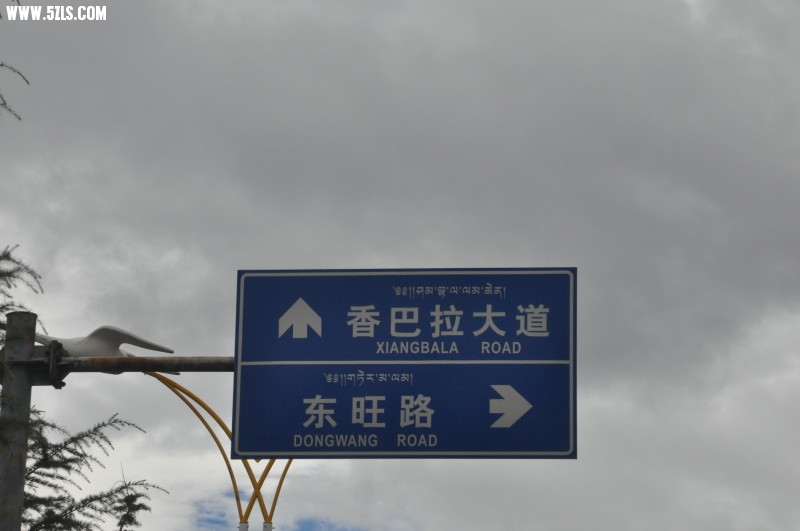 DSC_0282.jpg