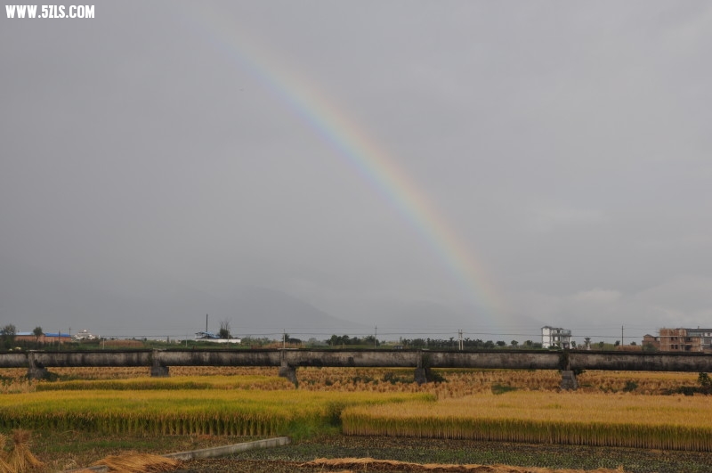 DSC_0326.jpg