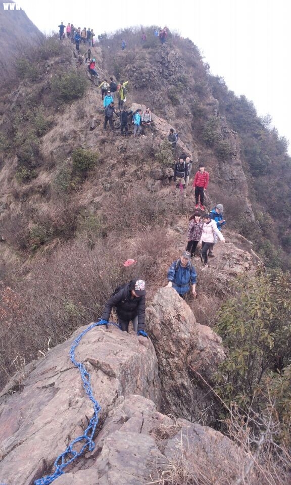 QQͼƬ20140308182247.jpg