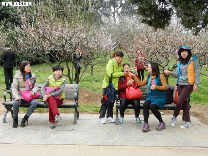 DSCN7973.jpg