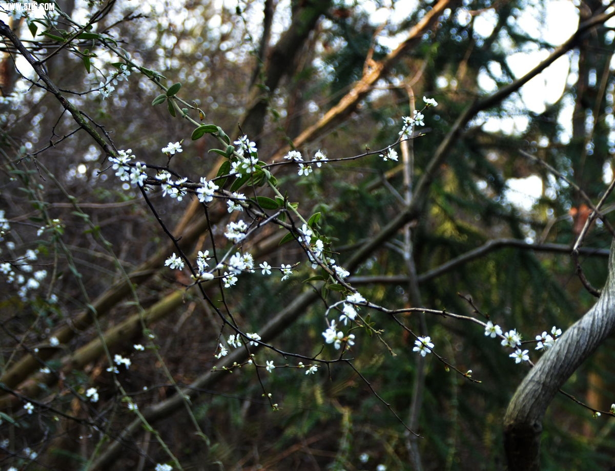 DSC_4577__.jpg