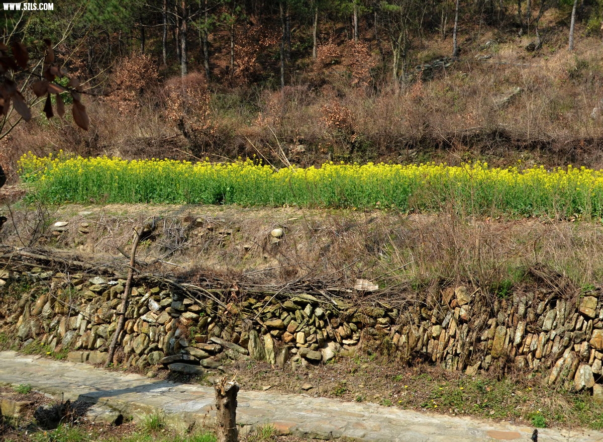 DSC_4612__.jpg