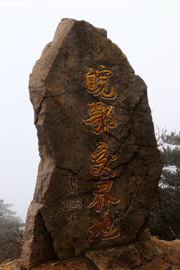 171.jpg
