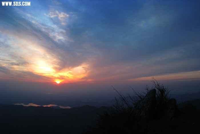 IMG_3515.JPG