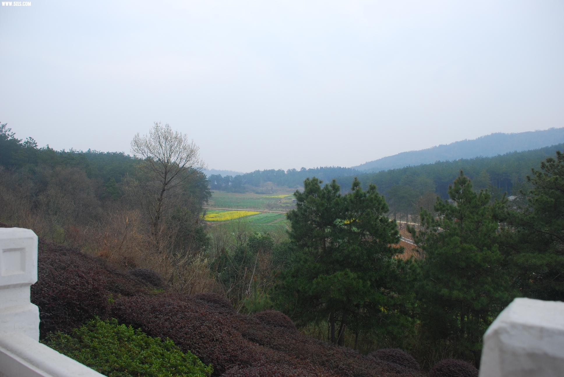 DSC_9524.JPG