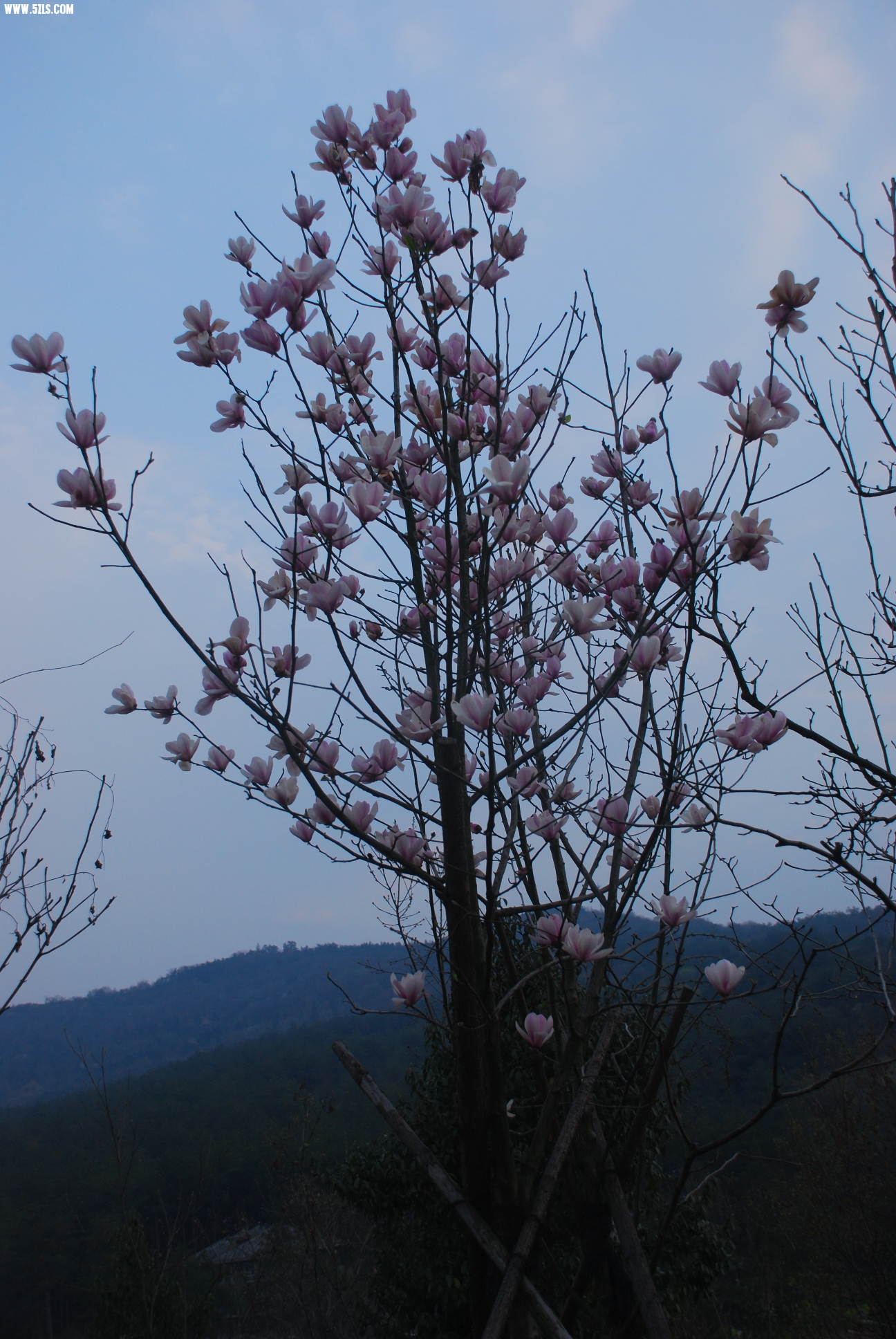 DSC_9522.JPG