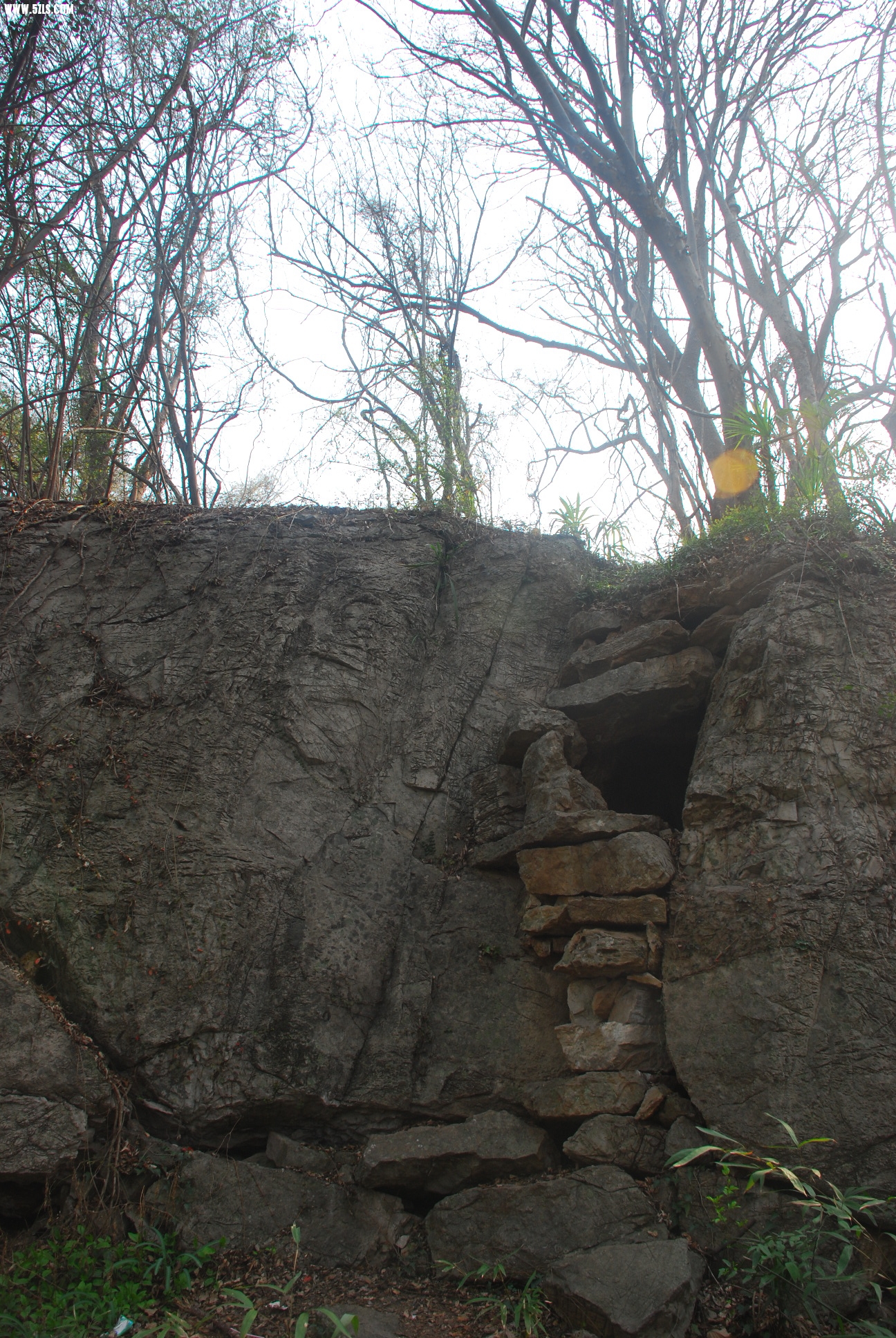 DSC_9531.JPG