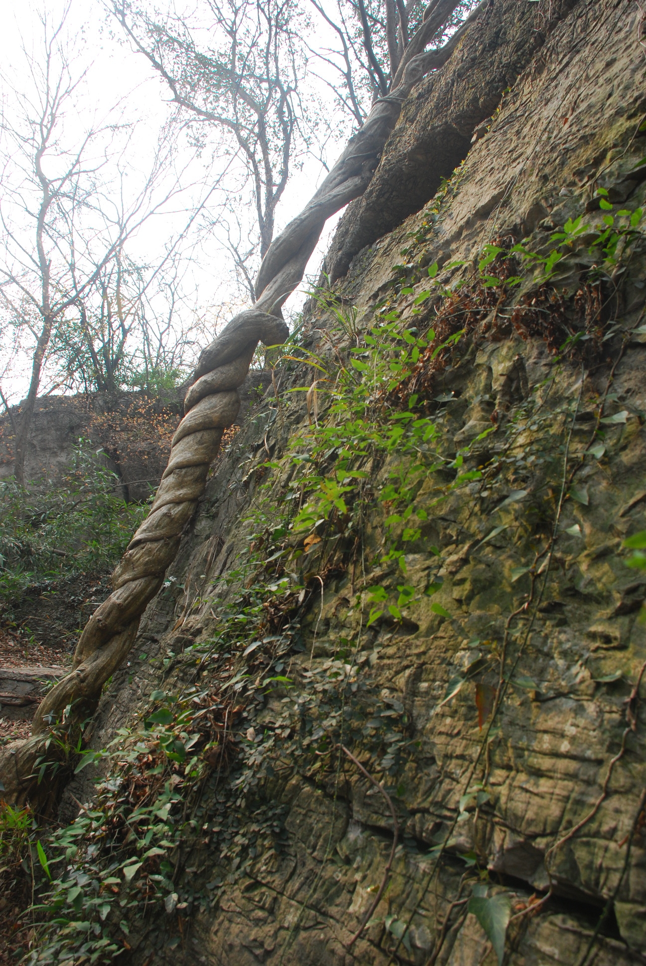 DSC_9539.JPG