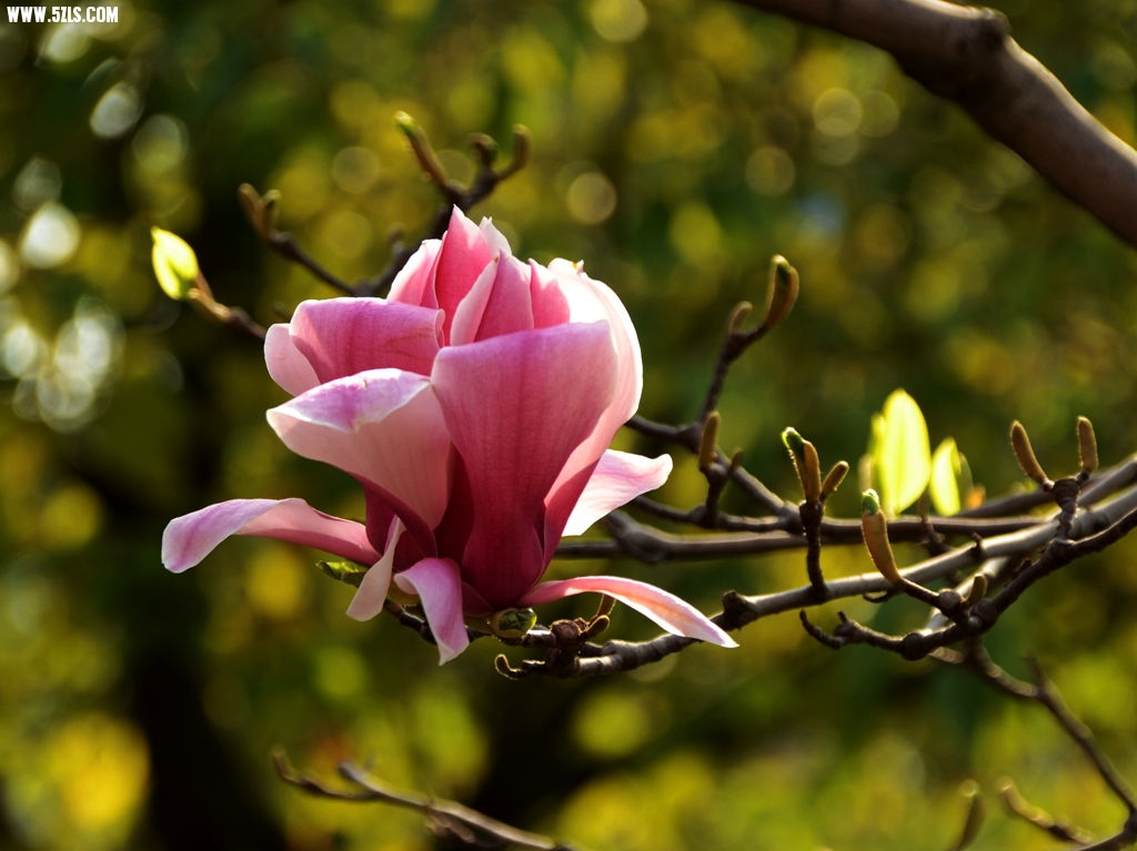 DSC_4670_.jpg