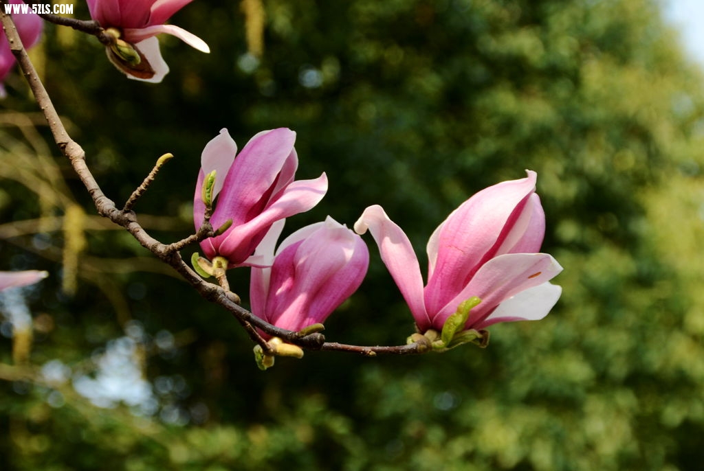 DSC_4675_.jpg