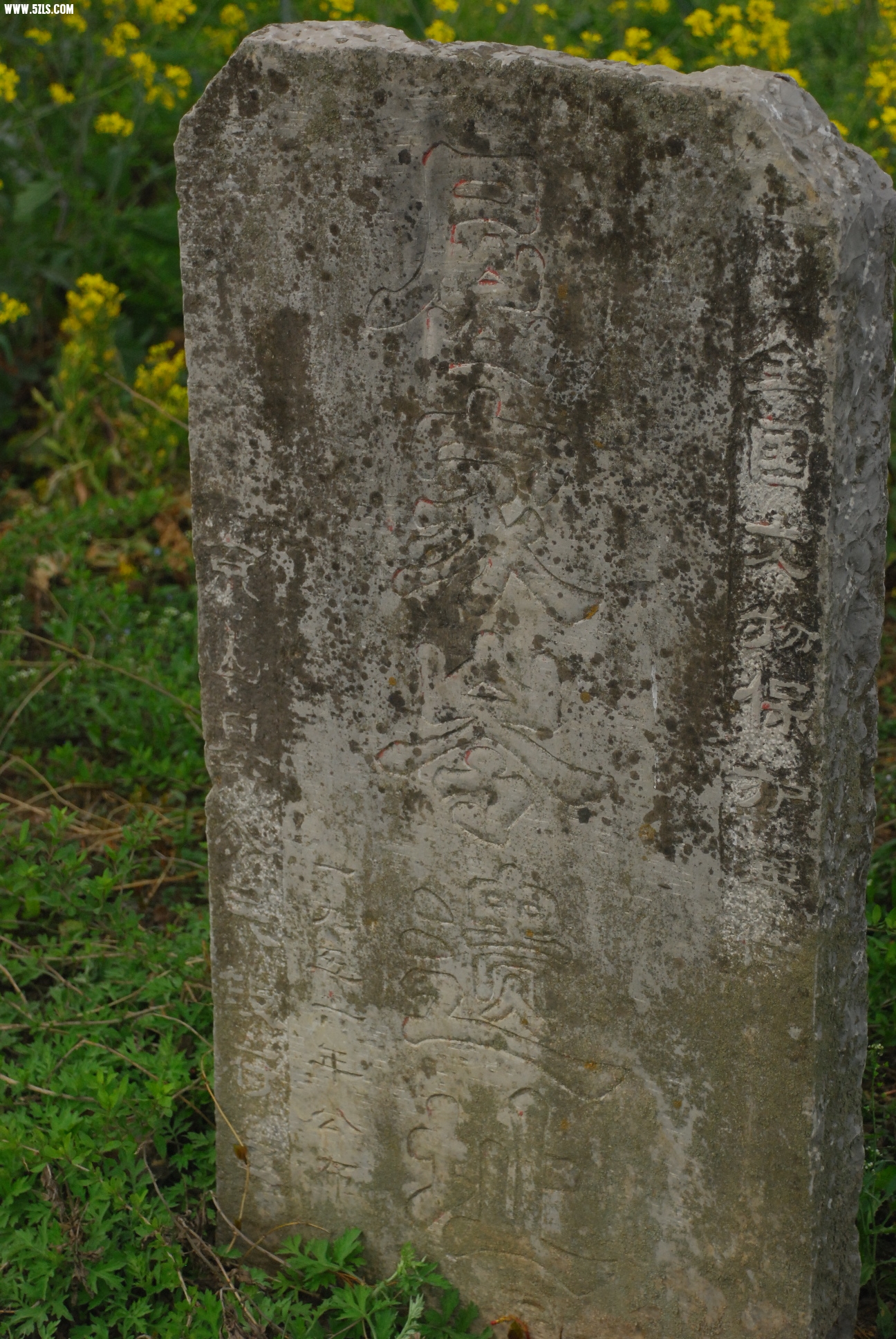 DSC_9551.JPG