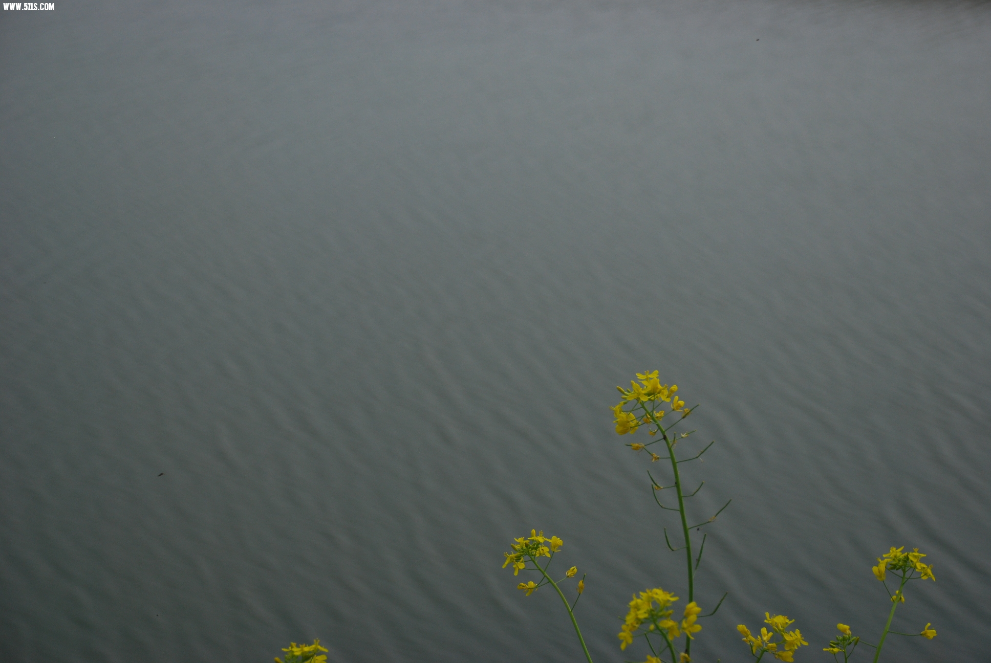 DSC_9559.JPG