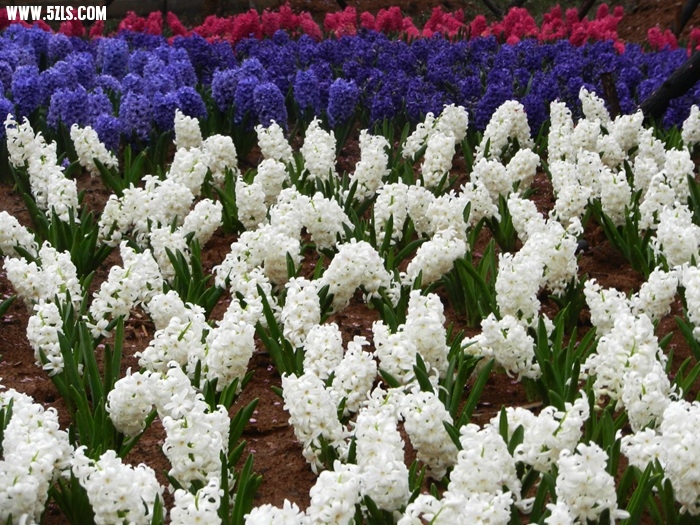 DSCN8036.jpg
