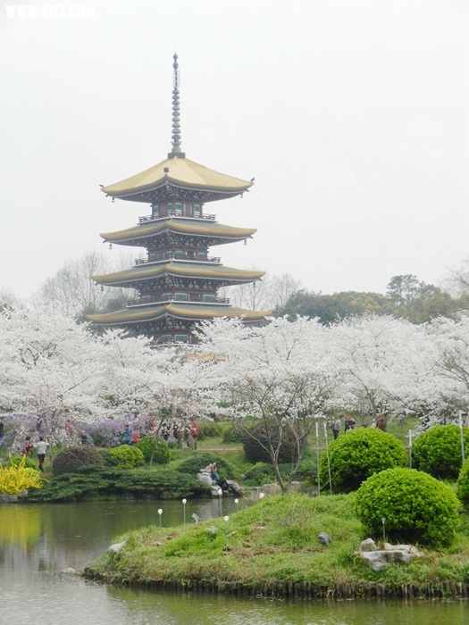 DSCN8055.jpg
