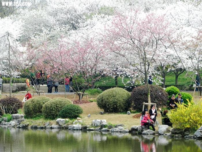 DSCN8059.jpg