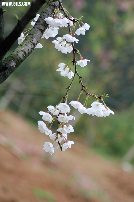 IMG_9586.jpg