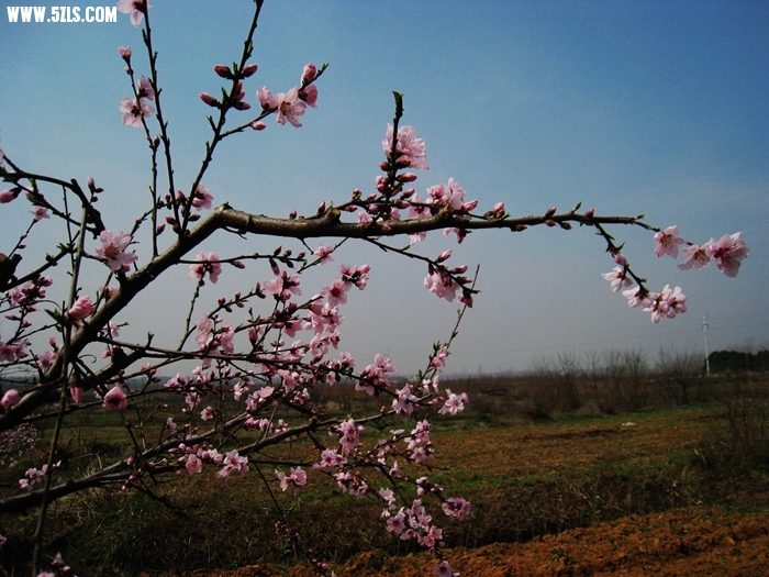 IMG_3730.JPG