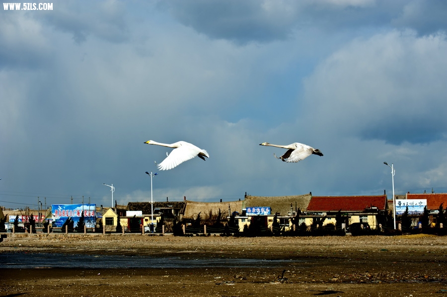 _HJL0587.jpg