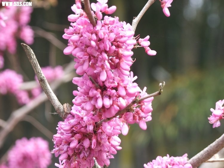 DSCF2183.JPG