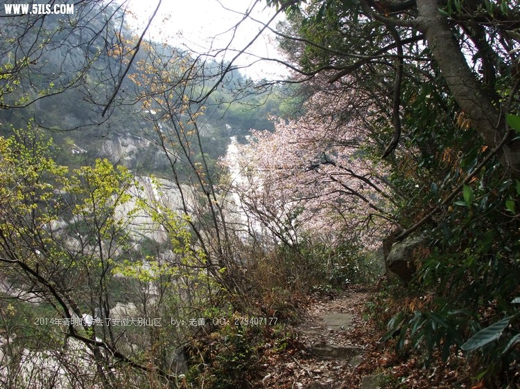 DSCF2247.JPG